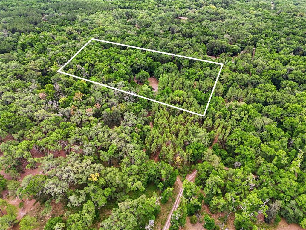 An aerial view shows a red house situated on a wooded lot with cleared land — 8009 SW 131ST TERRACE, ARCHER, FL
