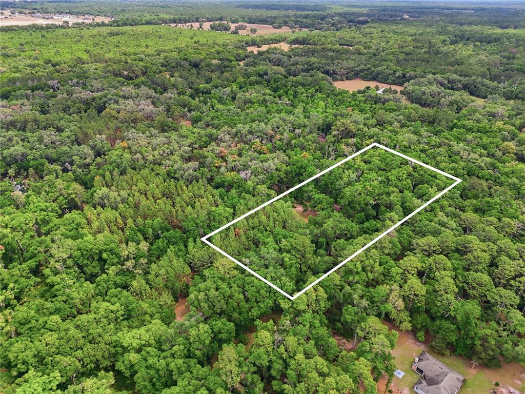 An aerial view shows a rectangular plot of land outlined in white amidst dense forest — 8009 SW 131ST TERRACE, ARCHER, FL