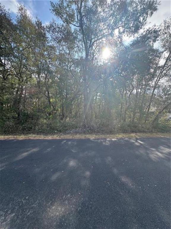 TBD LOCUST LOOP TERRACE, OCALA, FL — photo 2 of 5