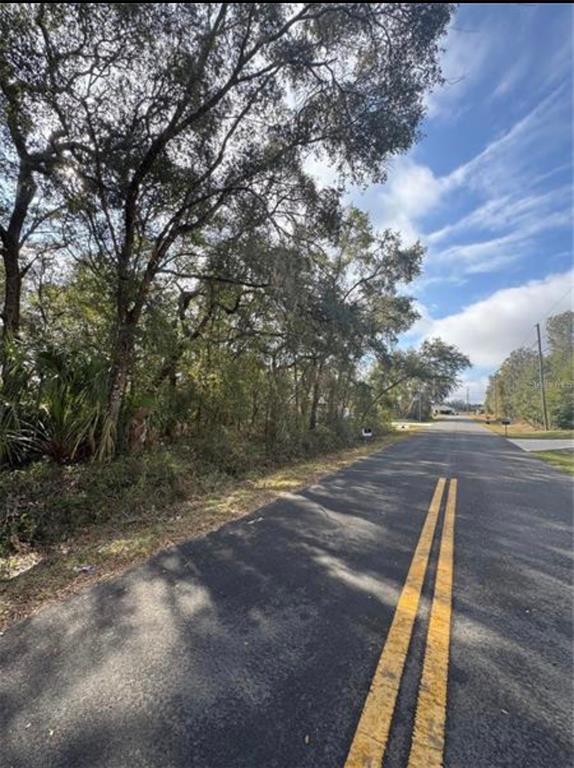 TBD LOCUST LOOP TERRACE, OCALA, FL — photo 5 of 5