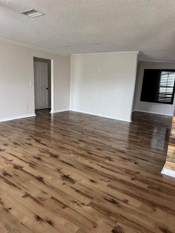 A spacious room features light-colored walls, a textured ceiling, and dark wood-look laminate flooring — 3306 LAKE SAXON DRIVE, LAND O LAKES, FL
