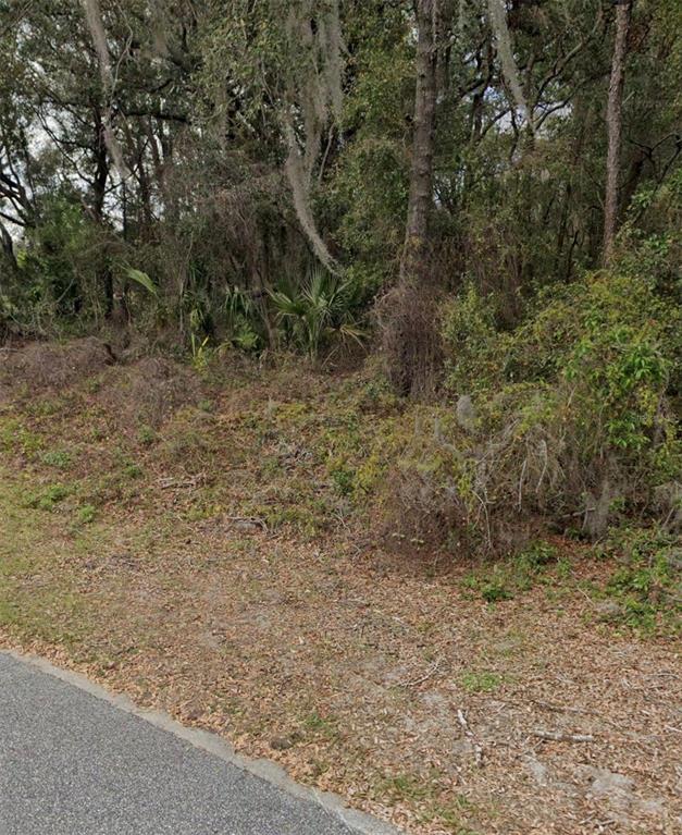 A view of a wooded lot with dense vegetation and trees adjacent to a paved road — 101 PINEY WOODS ROAD, APOPKA, FL