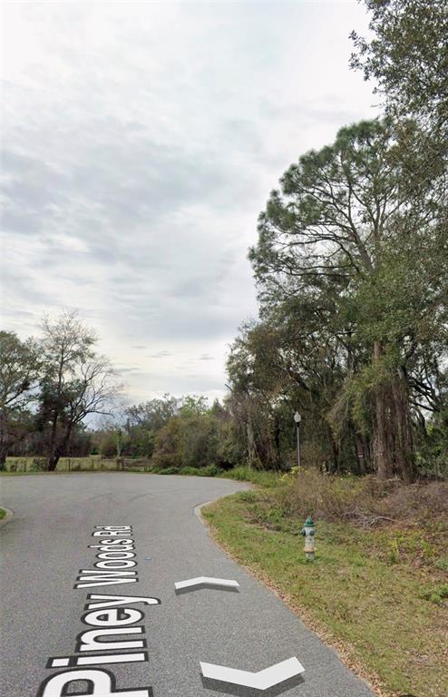 A paved road curves past a grassy area with a fire hydrant and mature trees — 101 PINEY WOODS ROAD, APOPKA, FL