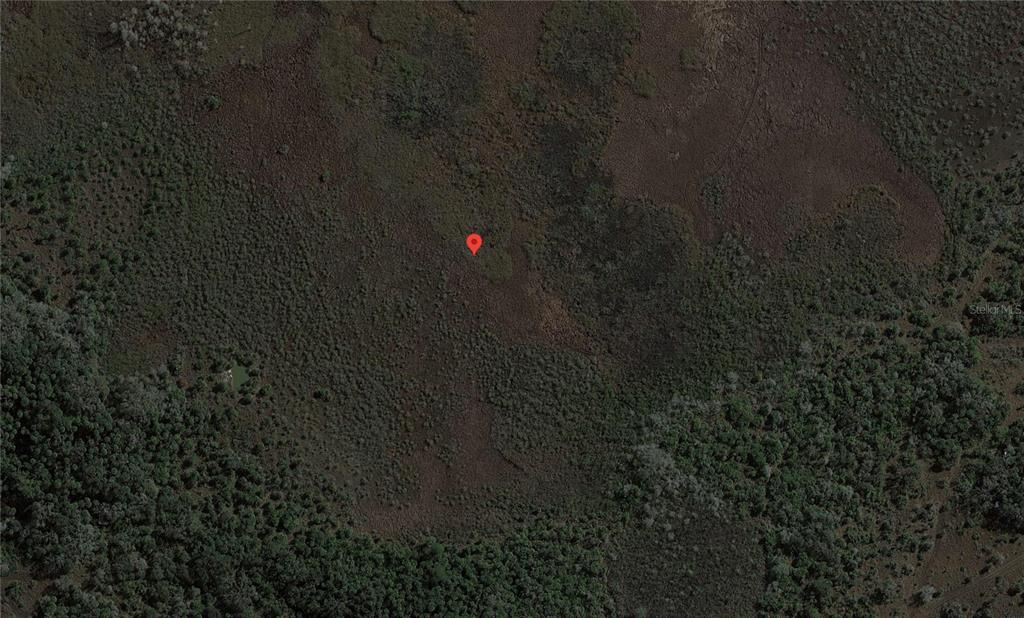 This is an aerial view of a rural, undeveloped plot of land with a location pin — 49667 BERMONT ROAD, PUNTA GORDA, FL