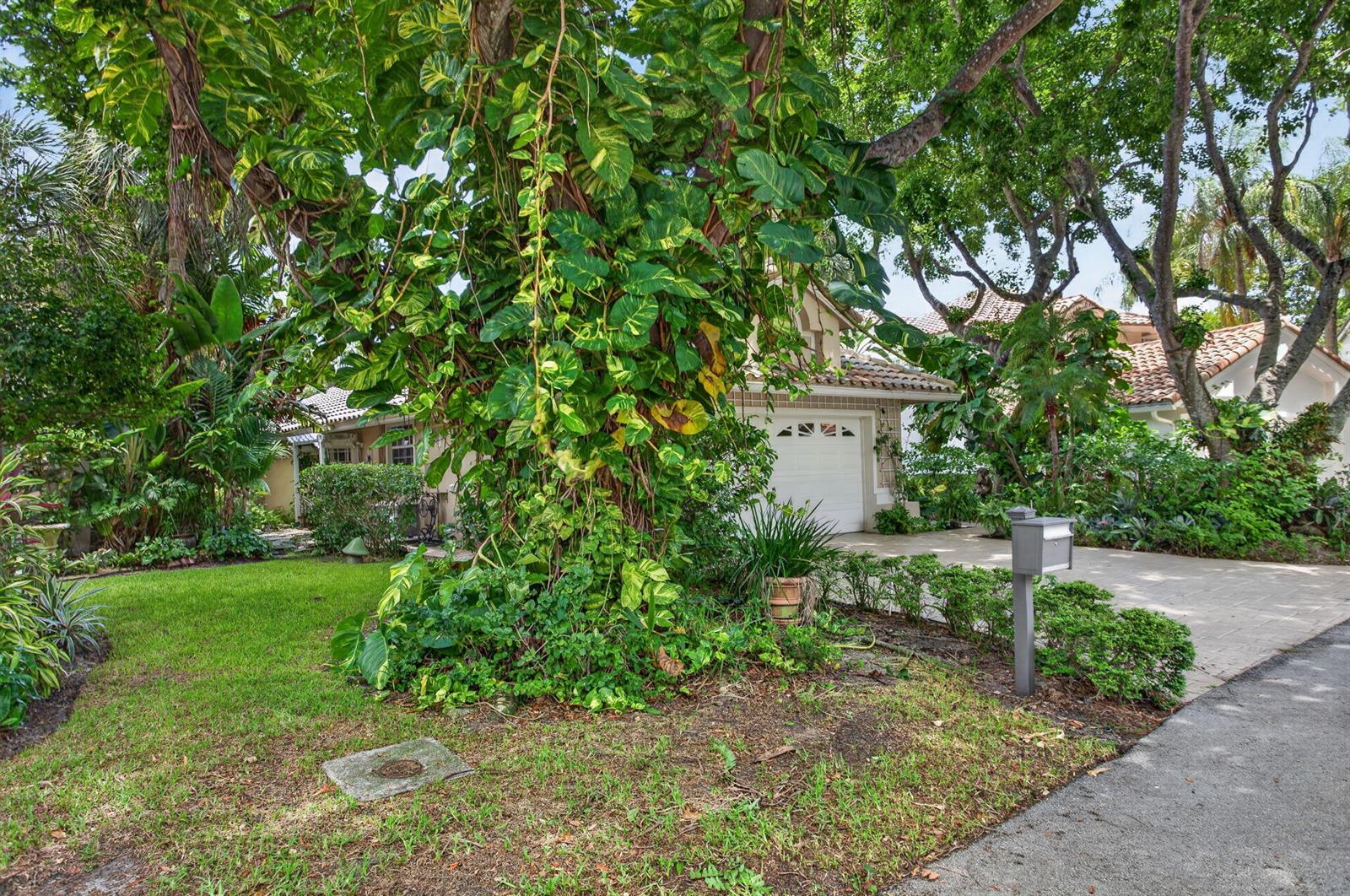 A large tree covered in vines stands in the front yard of a suburban house — 526 Misty Oaks Drive, Pompano Beach FL 33069, POMPANO BEACH, FL