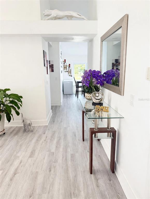 A hallway features light wood-look flooring, a glass console table, and a wall-mounted mirror — 7102 HOLLOWELL DRIVE, TAMPA, FL
