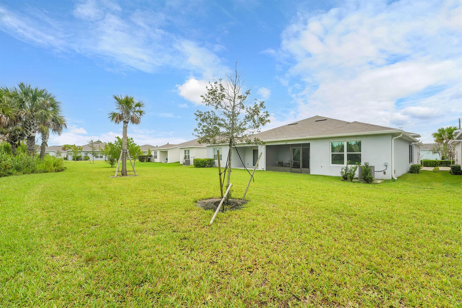 A view of a grassy backyard with a young tree and a single-story house — 333 Raspberry Road, Fort Pierce FL 34981, FORT PIERCE, FL