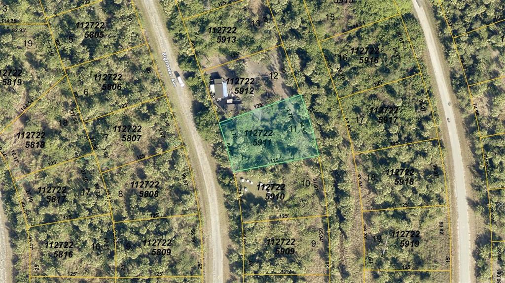 This is an aerial map showing property lot lines and parcel numbers for a wooded area — BIGFLOWER AVENUE, NORTH PORT, FL