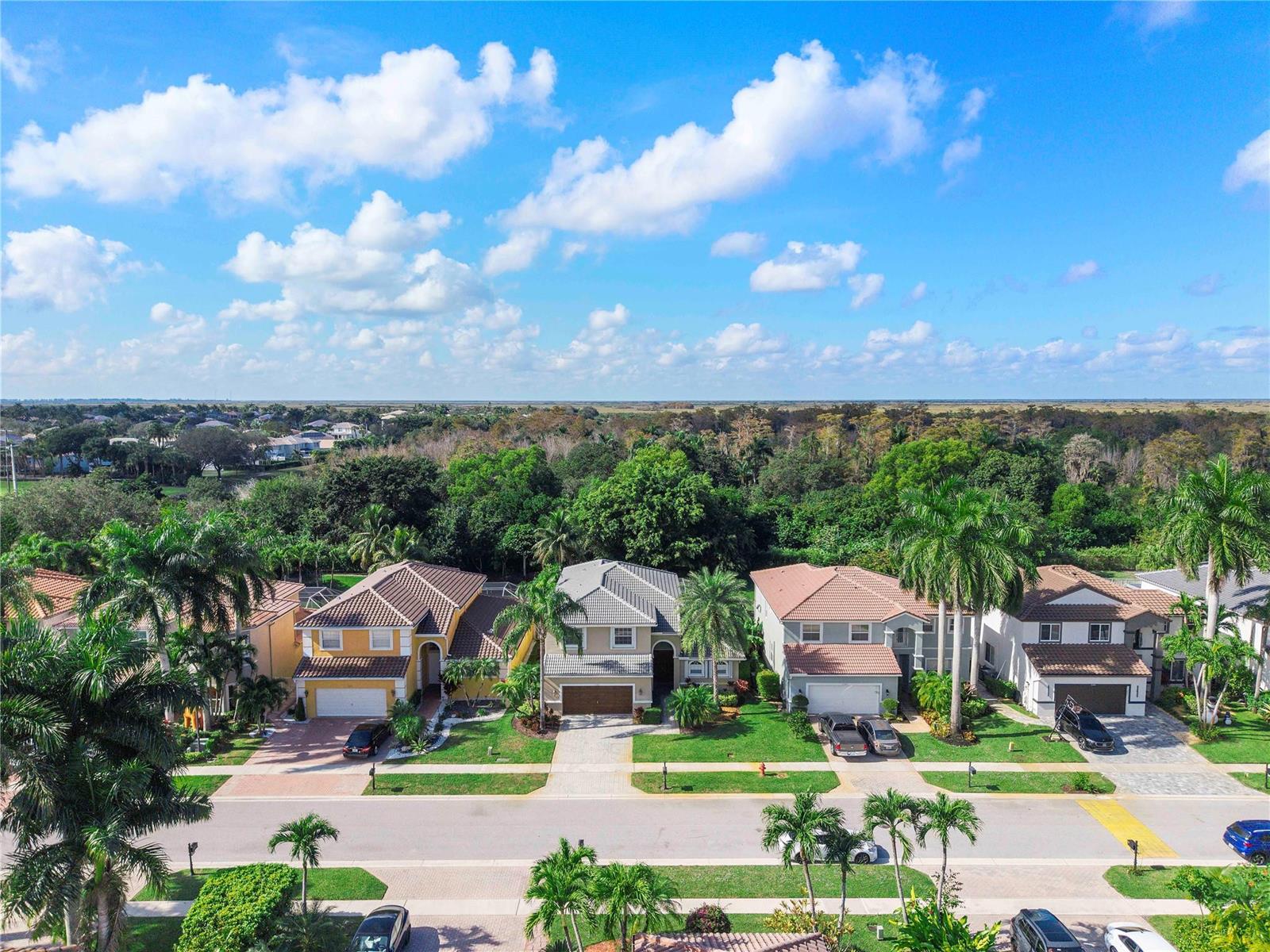 An aerial view of a suburban street featuring four two-story houses with palm trees — 11353 Sea Grass Circle, Boca Raton FL 33498, BOCA RATON, FL
