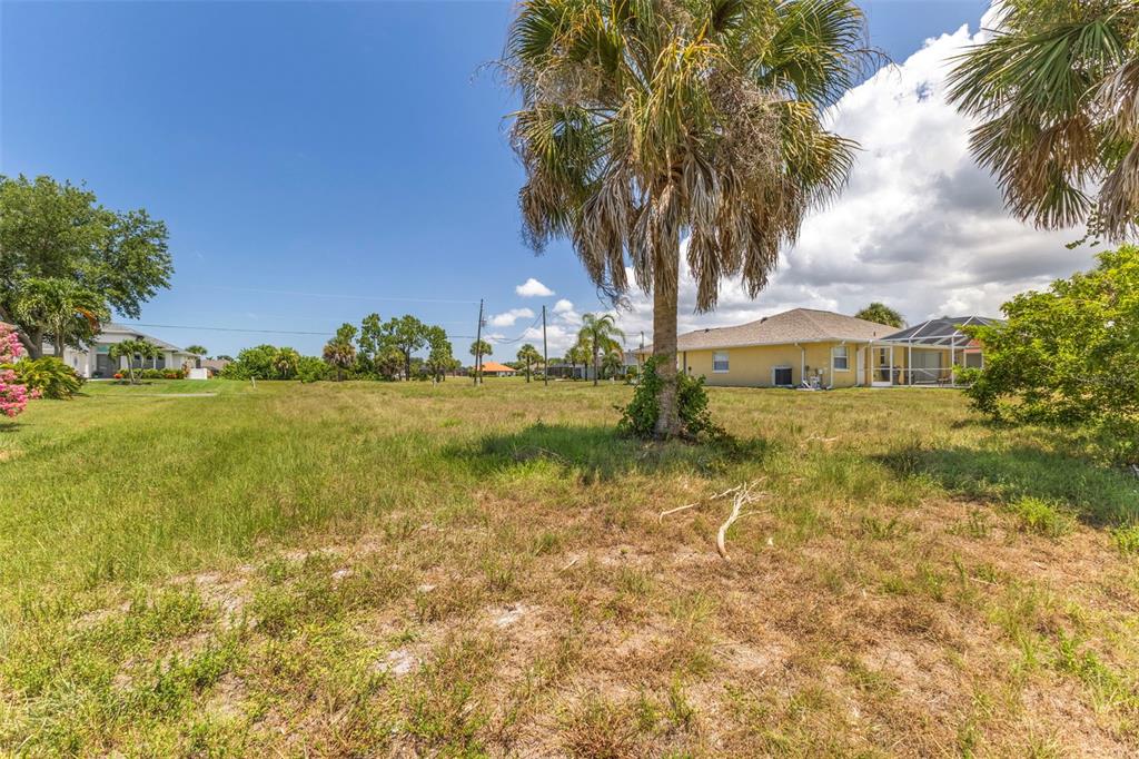 A grassy, undeveloped residential lot features a large palm tree under a bright blue sky — 74 LONG MEADOW COURT, ROTONDA WEST, FL