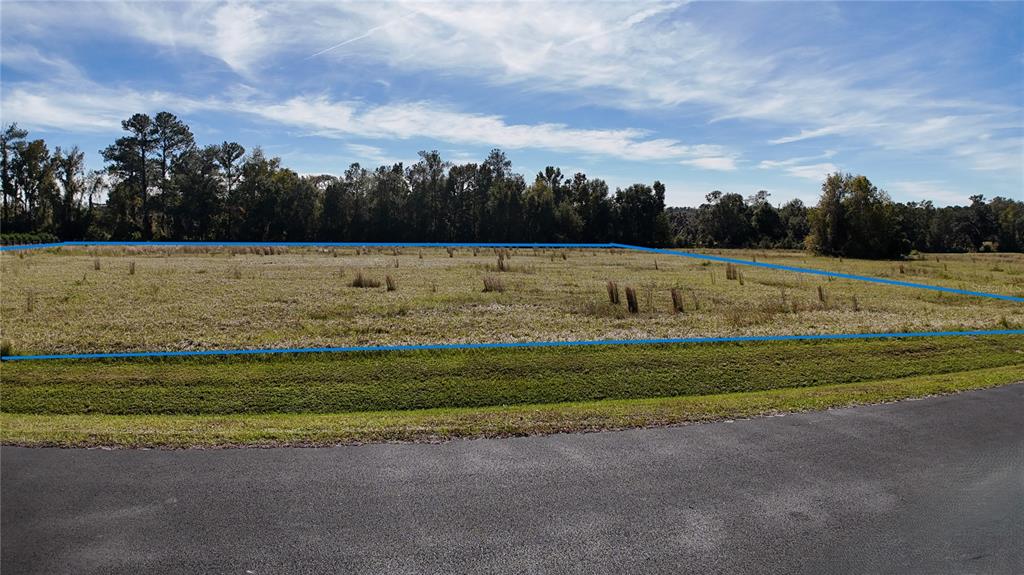 A vacant, grassy lot is outlined in blue next to a paved road and trees — NW 54TH LOOP LOT 8, OCALA, FL