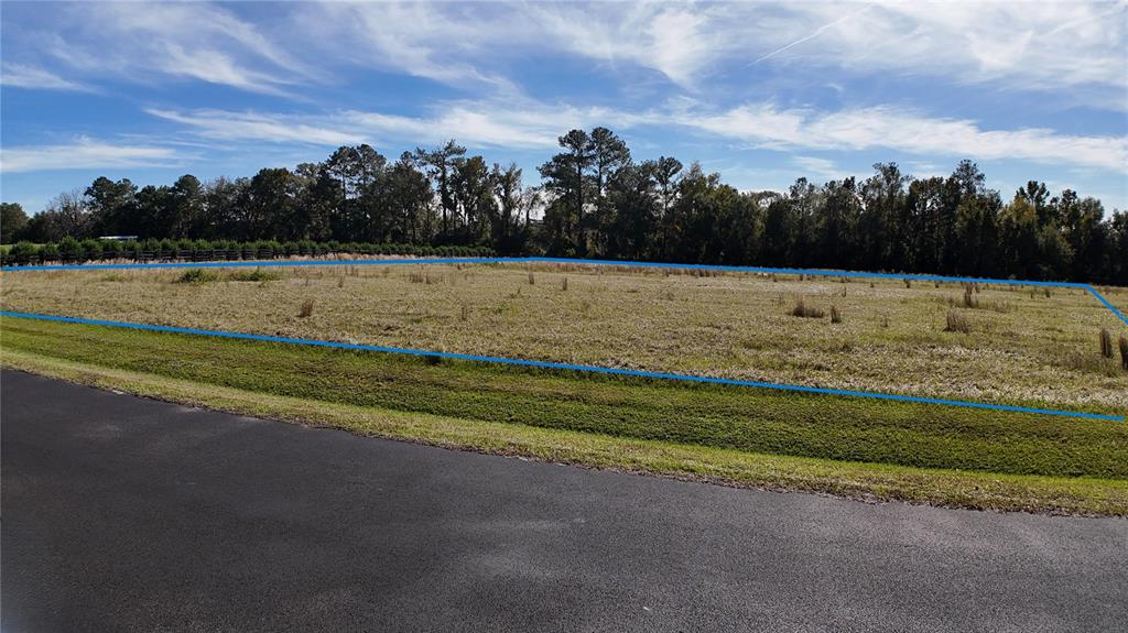 A vacant, grassy lot is outlined in blue next to a paved road — NW 54TH LOOP LOT 8, OCALA, FL