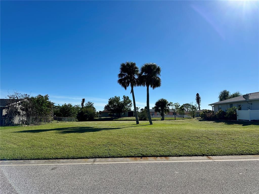 A grassy vacant lot features two palm trees under a clear blue sky — 254 ANNAPOLIS LANE, ROTONDA WEST, FL