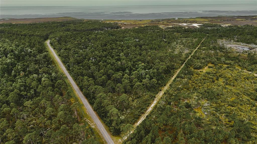 An aerial view shows a paved road bordering a dense forest near a coastal shoreline — LOTS 10,11,12,13 ADAMS BEACH ROAD, PERRY, FL
