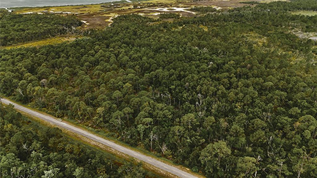 An aerial view shows a paved road running alongside a dense, wooded forest area — LOTS 10,11,12,13 ADAMS BEACH ROAD, PERRY, FL
