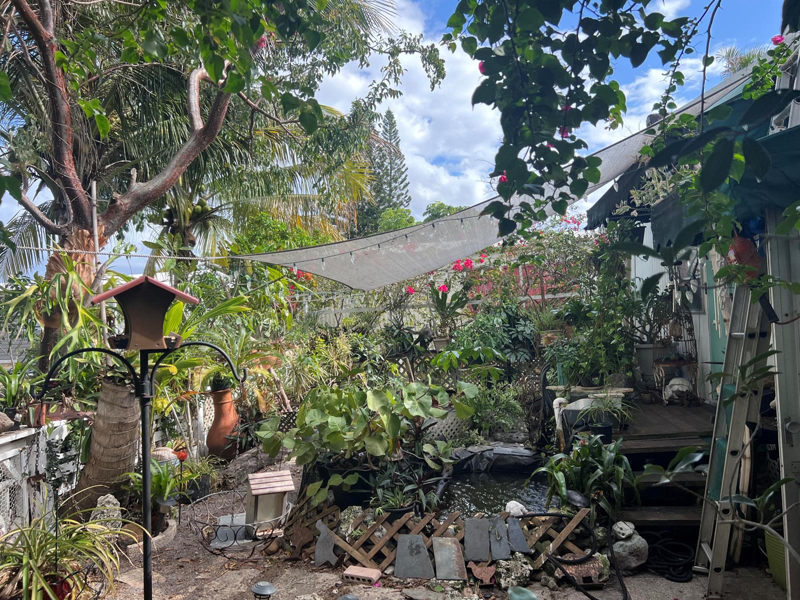 A lush backyard garden features a small pond, a shade sail, and various potted plants — 313 NW 48th Court, Pompano Beach FL 33064, POMPANO BEACH, FL