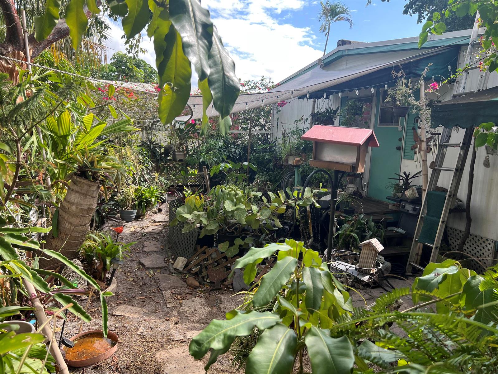 A lush, plant-filled backyard patio features a stone path, a bird feeder, and a house entrance — 313 NW 48th Court, Pompano Beach FL 33064, POMPANO BEACH, FL