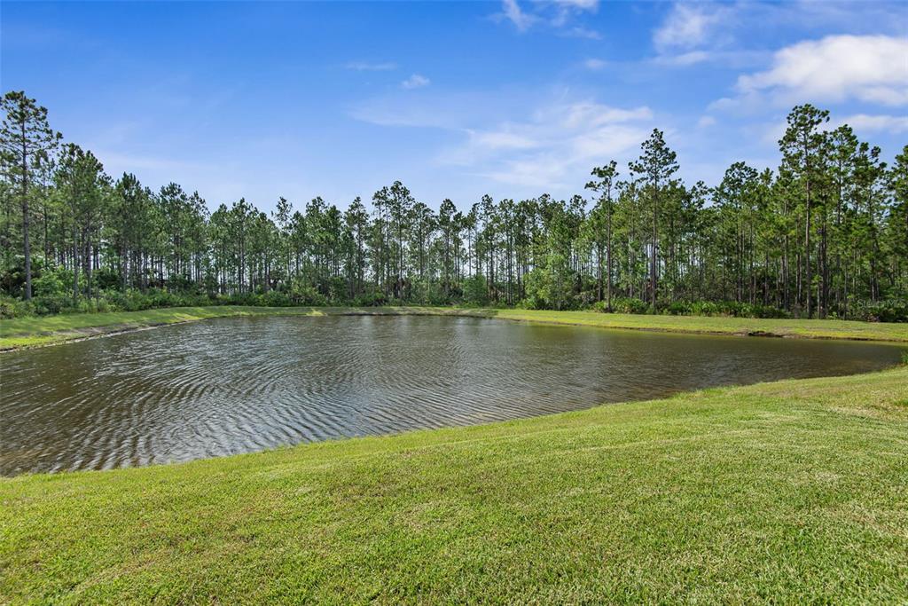 A grassy slope leads down to a pond bordered by a dense forest of pine trees — 1303 RIBBON PLACE, PALM COAST, FL