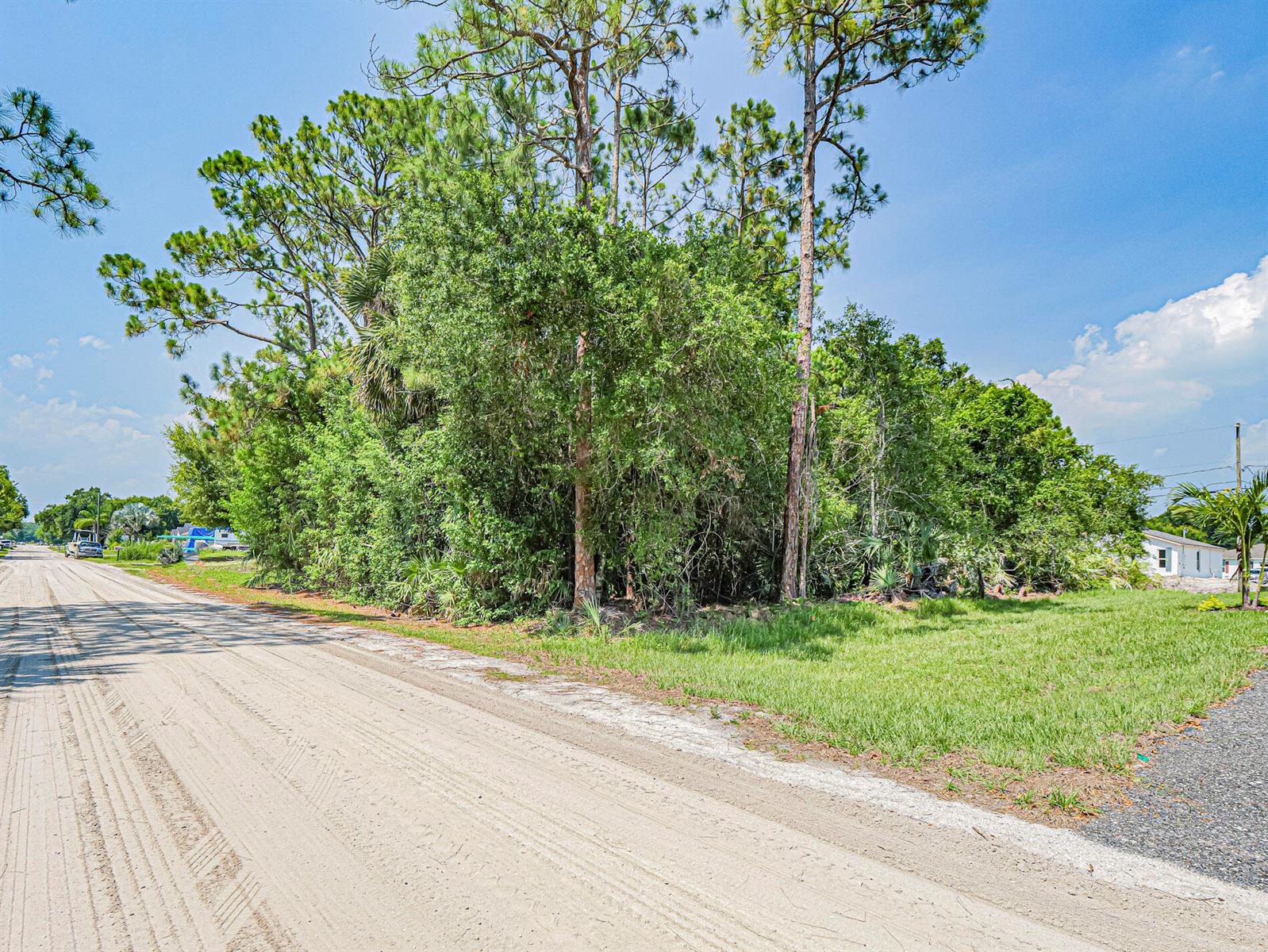 A dirt road runs alongside a grassy lot with dense trees and vegetation — 8566 105th Avenue, Vero Beach FL 32967, VERO BEACH, FL