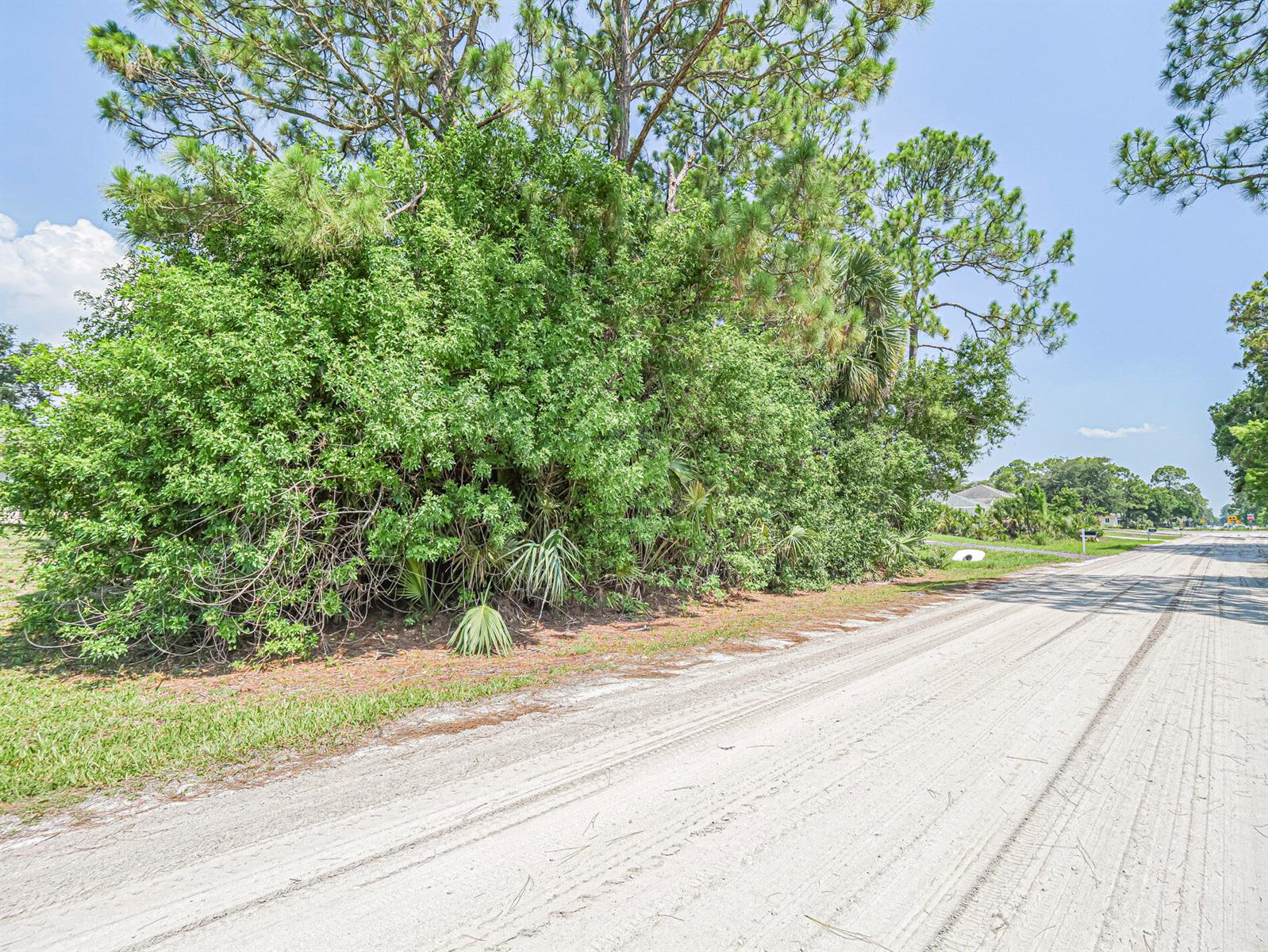 A dirt road runs alongside a dense thicket of trees and shrubs under a clear sky — 8566 105th Avenue, Vero Beach FL 32967, VERO BEACH, FL