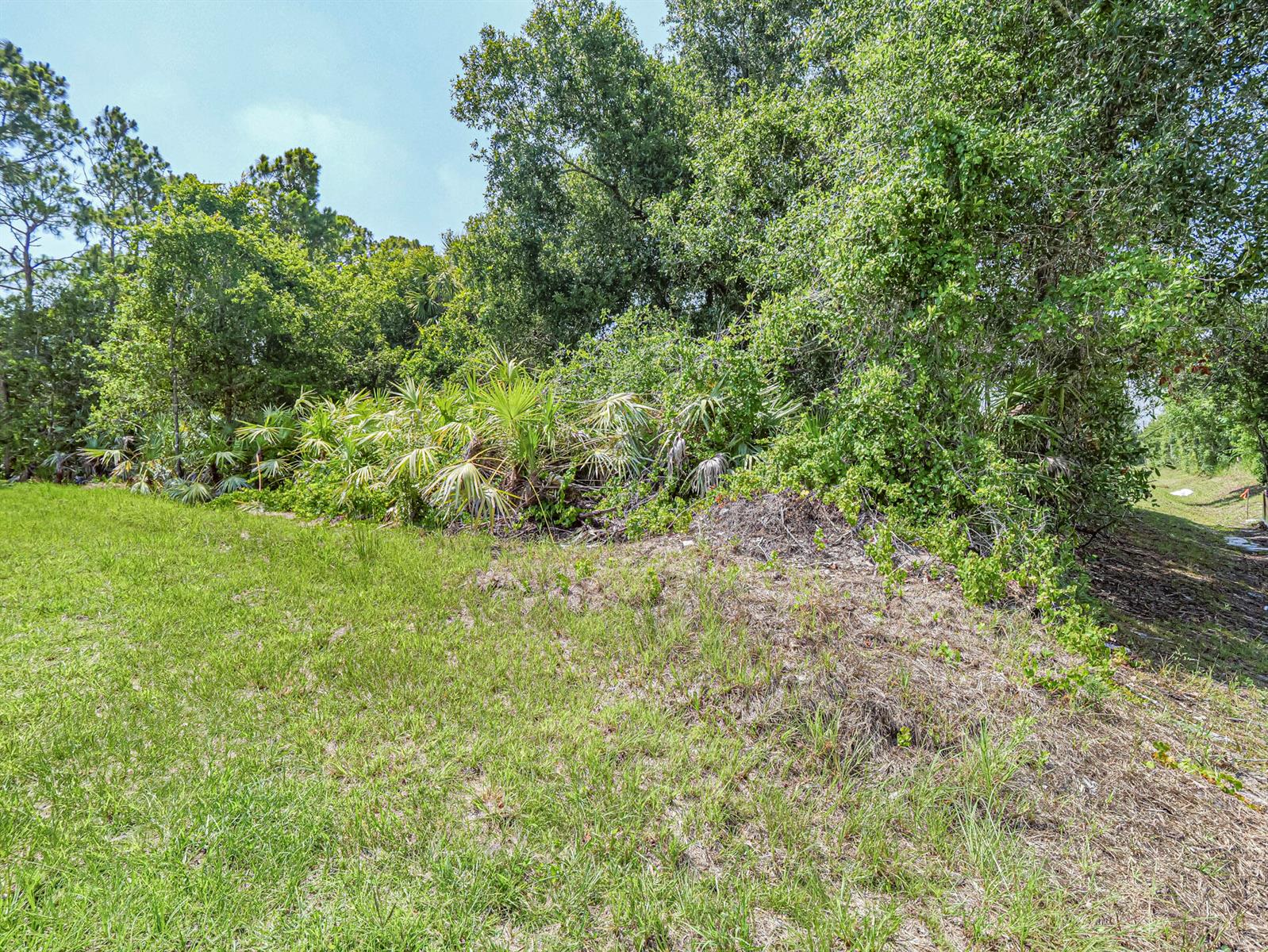 A grassy lot borders a dense line of trees and palmetto bushes under a blue sky — 8566 105th Avenue, Vero Beach FL 32967, VERO BEACH, FL
