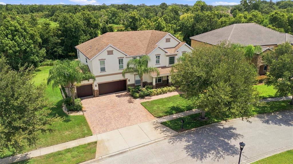 An aerial view of a two-story suburban house with a brick driveway and palm trees — 19902 WELLINGTON MANOR BOULEVARD, LUTZ, FL