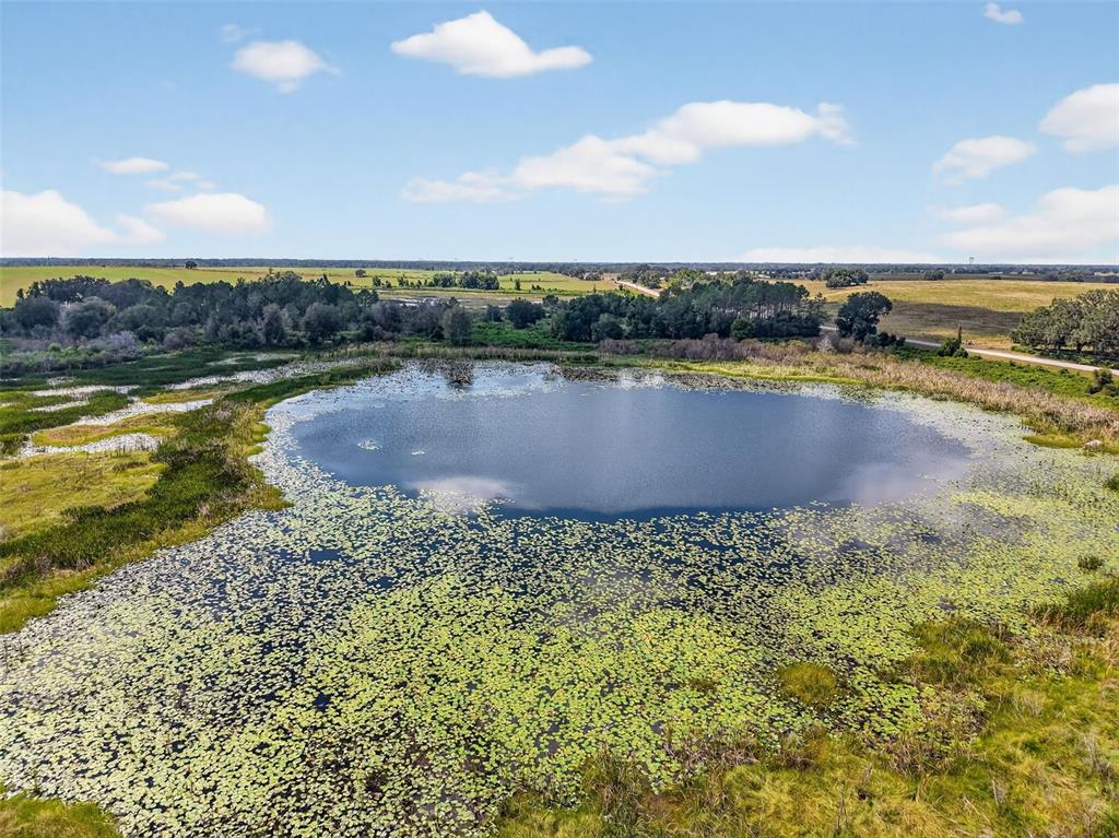 An aerial view shows a pond covered in lily pads surrounded by grassy fields — COUNTY ROAD 48, GROVELAND, FL