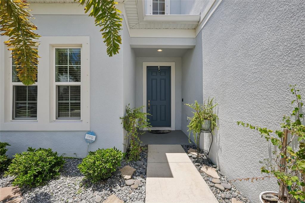 A blue front door is centered at the end of a concrete walkway — 9085 SPRUCE CREEK CIRCLE, RIVERVIEW, FL