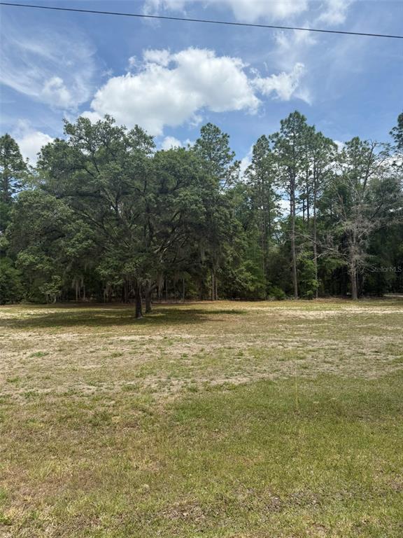 A grassy, partially cleared lot features a large oak tree and a dense forest background — TBD SW 158TH AVE LOT 17, OCALA, FL