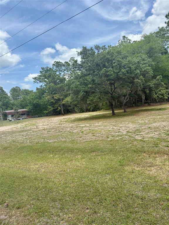A large, grassy, partially cleared lot features scattered mature trees and a distant parked RV — TBD SW 158TH AVE LOT 17, OCALA, FL