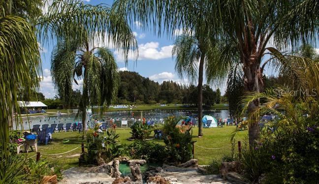 A view of a swimming pool area surrounded by palm trees and grassy lawns — SAN RAFAEL AVENUE, NORTH PORT, FL