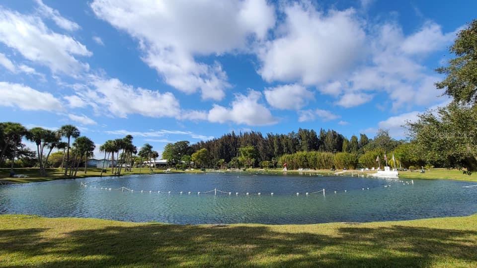A large pond surrounded by grass and palm trees under a blue sky with clouds — SAN RAFAEL AVENUE, NORTH PORT, FL
