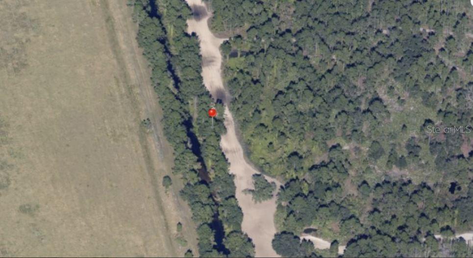 This aerial map view shows a wooded lot with a dirt road and a red marker — HOLOPAW GROVES ROAD, ST CLOUD, FL