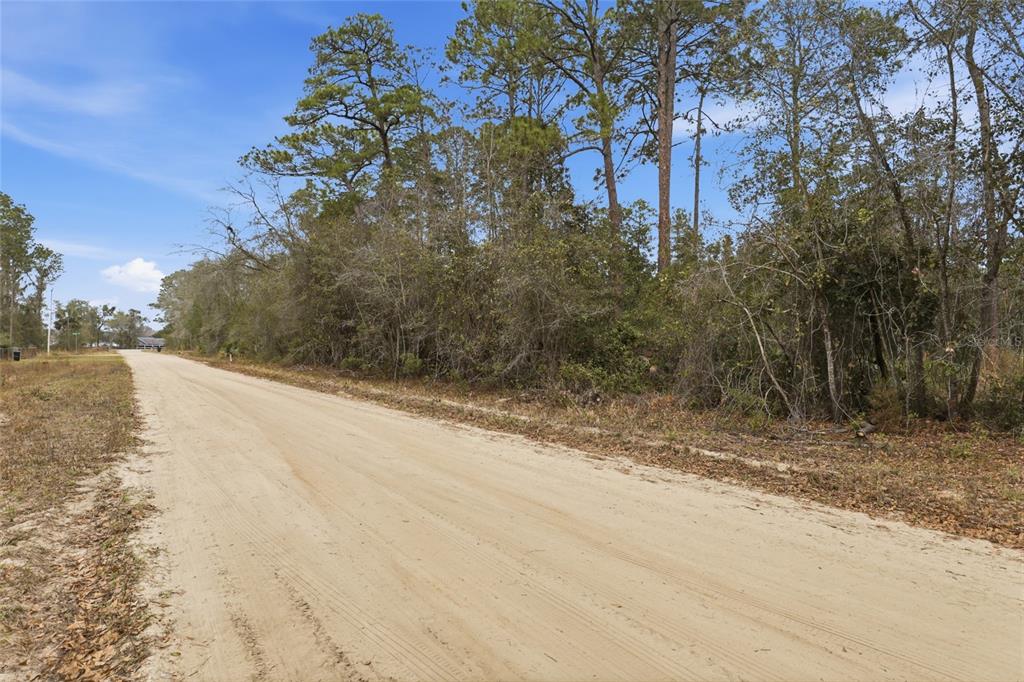SHARON STREET, INTERLACHEN, FL — photo 3 of 17