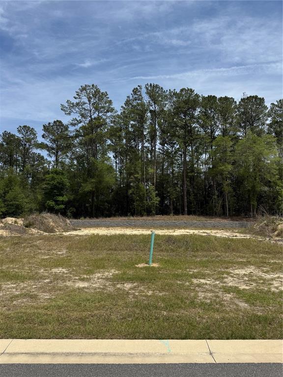 A vacant residential lot features a green utility pipe and a stone retaining wall — 1047 SW 147TH TERRACE, NEWBERRY, FL