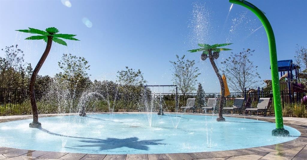 A splash pad area features two palm tree water features and a curved green shower — 33151 HAPPY HEART DRIVE, WESLEY CHAPEL, FL