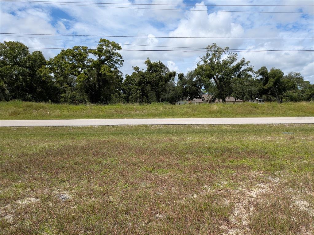 A view of a grassy vacant lot across a paved road with trees in the background — 3421 ANDALUSIA BOULEVARD, CAPE CORAL, FL
