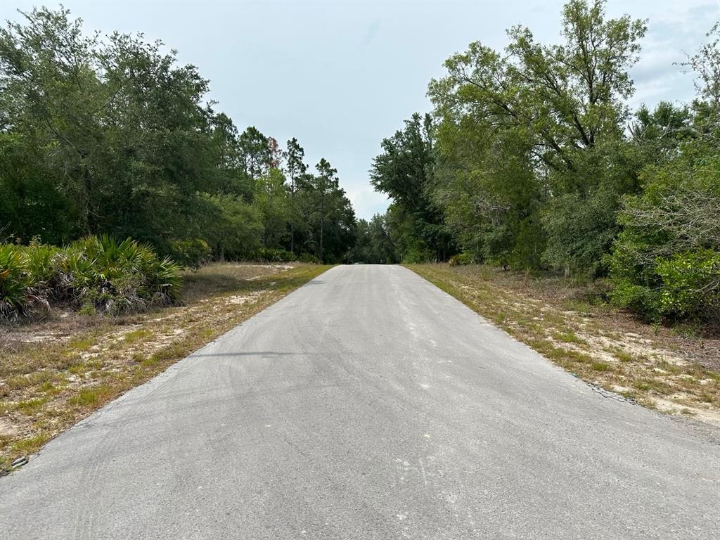 A paved road stretches forward through a wooded area with sandy ground on both sides — 00 SOUTH HAVEN COURT, DUNNELLON, FL