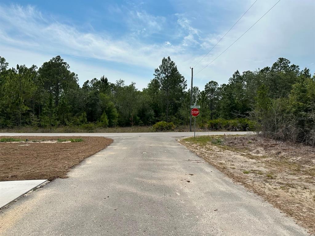 A paved driveway leads to a T-intersection with a stop sign and a wooded background — 00 SOUTH HAVEN COURT, DUNNELLON, FL