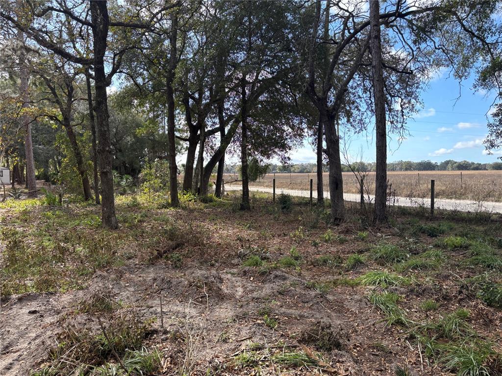 31 SE 190TH AVENUE, OLD TOWN, FL — photo 3 of 12