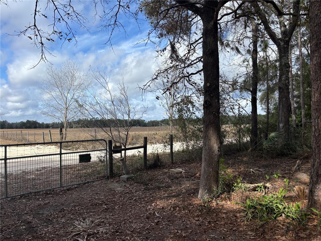 31 SE 190TH AVENUE, OLD TOWN, FL — photo 5 of 12