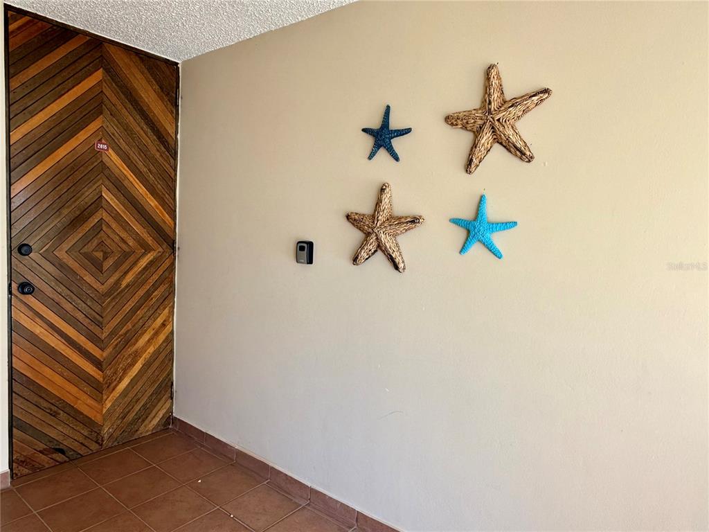 A wooden door with a geometric pattern sits next to a wall decorated with four starfish — . CAMINO DE LAS PICUAS UNIT 2815, RIO GRANDE, PR