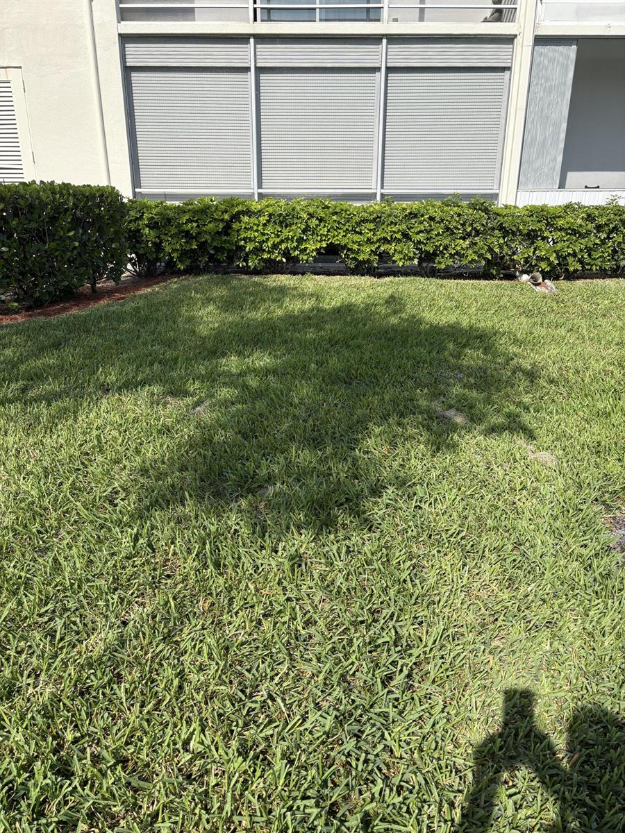 A grassy lawn sits in front of a building with a hedge and window shutters — 91 Preston C # C, Boca Raton FL 33434, BOCA RATON, FL
