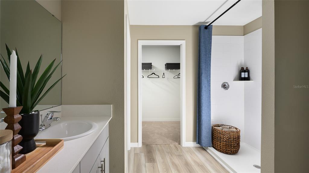 A bathroom features a vanity, a walk-in shower with a blue curtain, and a closet — 31699 BARONNE STREET, WESLEY CHAPEL, FL