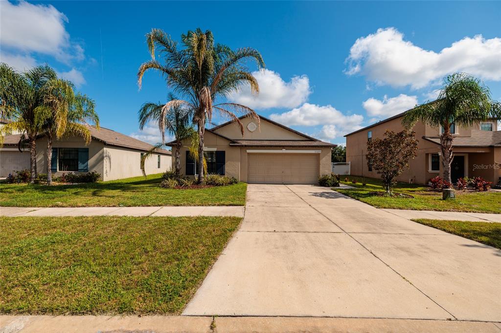 A single-story suburban house with a concrete driveway, palm trees, and a two-car garage — 36077 STABLE WILK AVENUE, ZEPHYRHILLS, FL