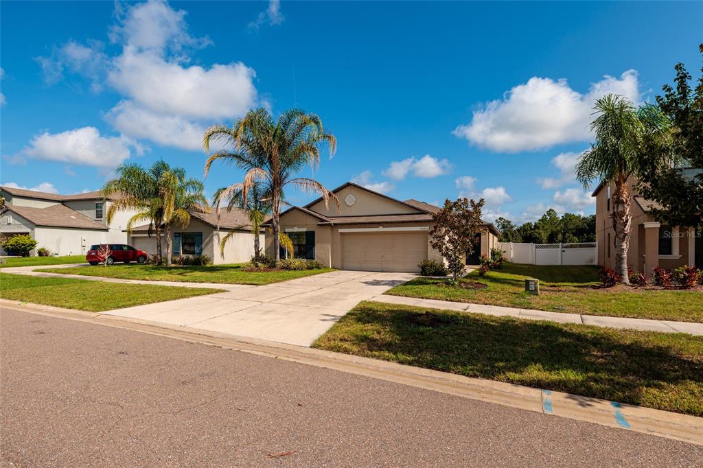 A tan single-story suburban house with a two-car garage and palm trees in the front yard — 36077 STABLE WILK AVENUE, ZEPHYRHILLS, FL