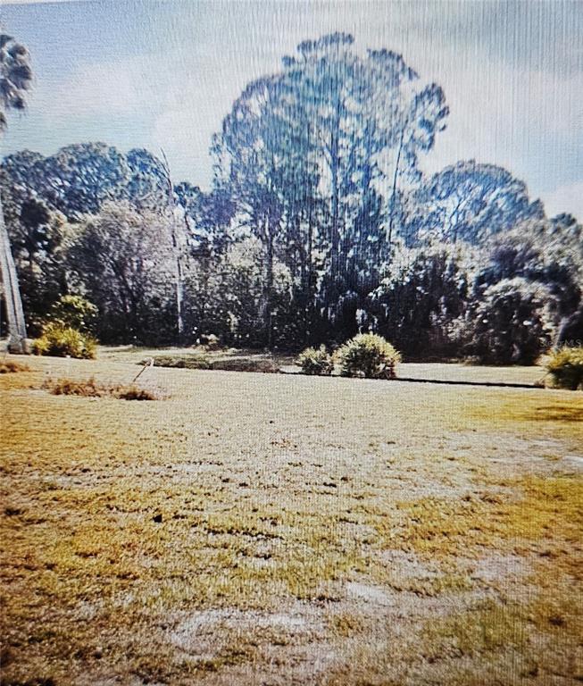 A large, grassy lot features scattered shrubs and a dense line of mature trees — 24283 PENHOLLOW COURT, PUNTA GORDA, FL