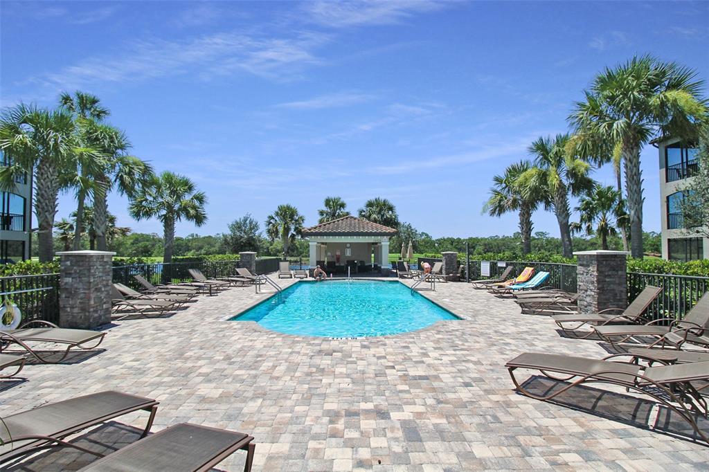 An outdoor swimming pool surrounded by lounge chairs, palm trees, and a stone-paved deck — 16904 VARDON TERRACE UNIT 204, BRADENTON, FL