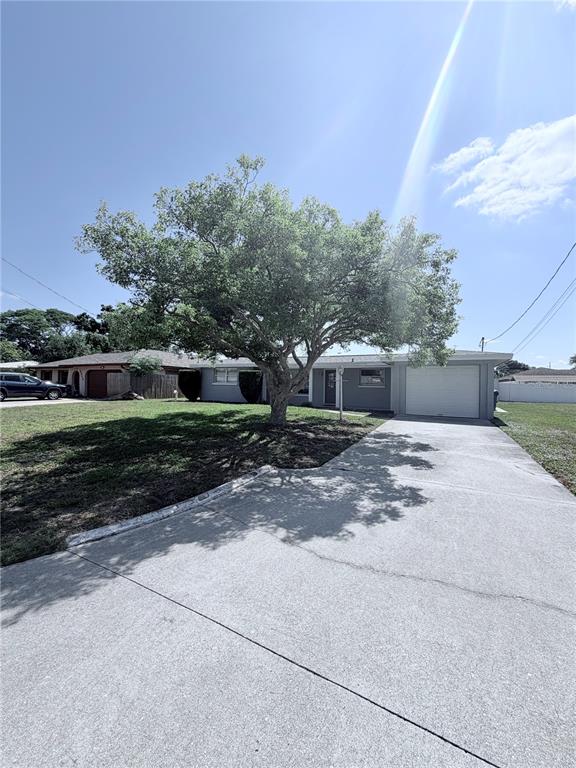 A single-story house with a large tree in the front yard and a concrete driveway — 3219 CAMBRIDGE DRIVE, SARASOTA, FL