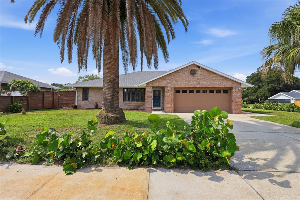 A single-story brick house with a palm tree, driveway, and front yard landscaping — 5825 ALSTRUM DRIVE, PORT ORANGE, FL